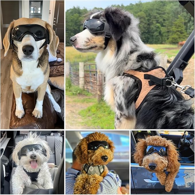 Dog Goggles Dog Sunglasses for Medium Breed UV Protection Windproof with Adjustable Head Straps Chin Straps for Ride Car/Hiking Travel/On Beach-Black-PawvioPets