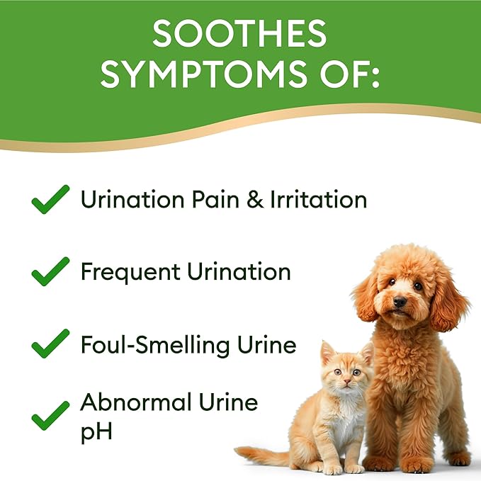 Dog UTI Treatment & Cat Urinary Tract Infection Treatment, Natural Herbal Liquid UTI Medicine, Organically Grown Cranberry Extract, Supports Urinary and Digestive Health, 2 fl oz, Made in USA-PawvioPets