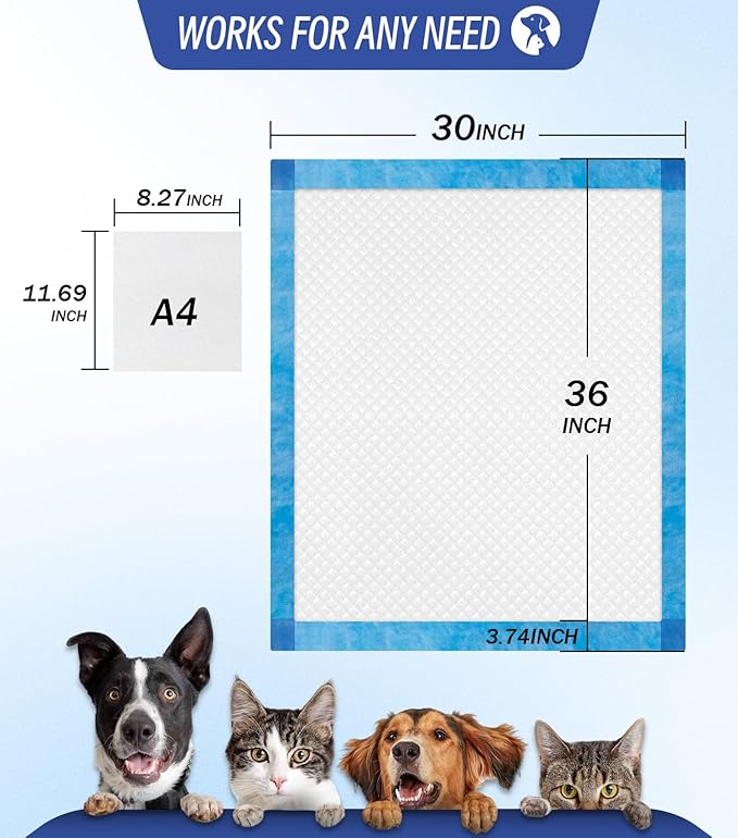 100 Counts XL Puppy Pee Pads 30x36 Inch | Super Absorbent Leak-Proof Dog Training Pads with Odor Control | Quick-Dry Potty Pads for Dogs & Cats-PawvioPets