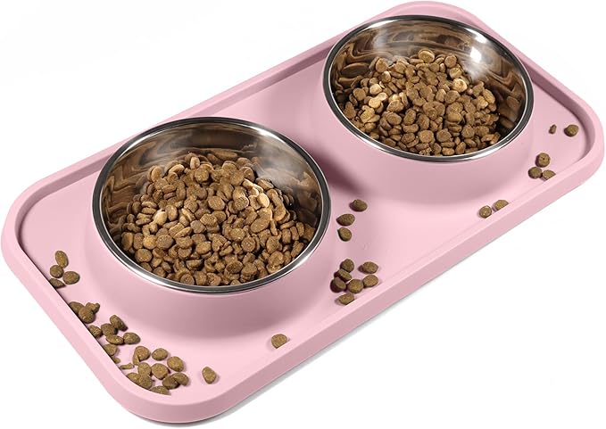 Cat Food Bowls, Cat Bowls Non-Skid and Non-Spill Silicone Pads with PP Stand, Removable Stainless Steel Food and Water Dishes for Cats, Small Size Dogs-PawvioPets