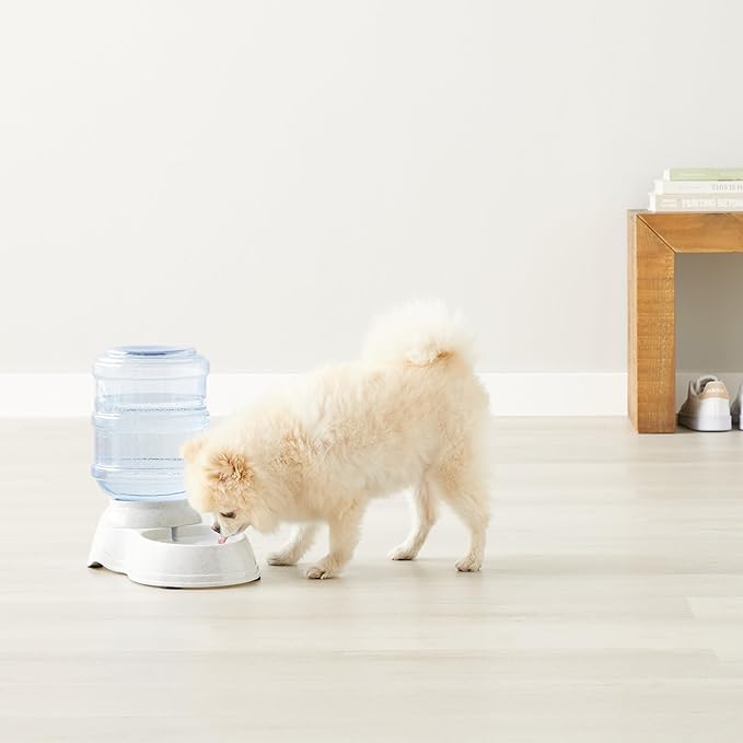 Amazon Basics Gravity Pet Water Dispenser for Cat, Dog, 1 gallon Capacity, Small, Gray-PawvioPets