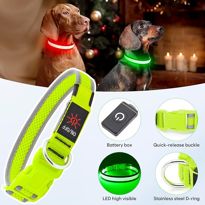 Flashseen LED Dog Collar, Light Up Dog Collar Lights USB Rechargeable, Adjustable Comfortable Soft Mesh Safety Collar for Small, Medium, Large Dogs(Large, Neon Green)-PawvioPets