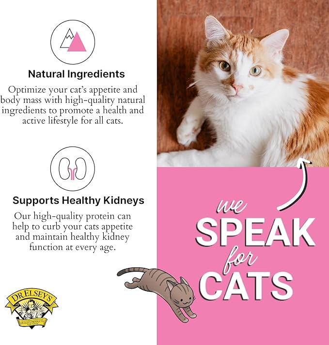 Dr. Elsey's cleanprotein Original Pork Recipe Wet Cat Food, (Pack of 24), 5.3oz Cans-PawvioPets