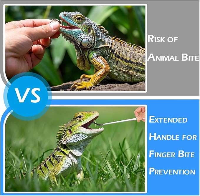 5 Pcs Reptile Feeding Tools Set with Silicone Tips - Extra Long Straight&Curved Tongs, Spoons, Scissors - Stainless Steel Terrarium Feeder Kit for Bearded Dragons, Lizards, Snake, Spiders, Aquarium-PawvioPets