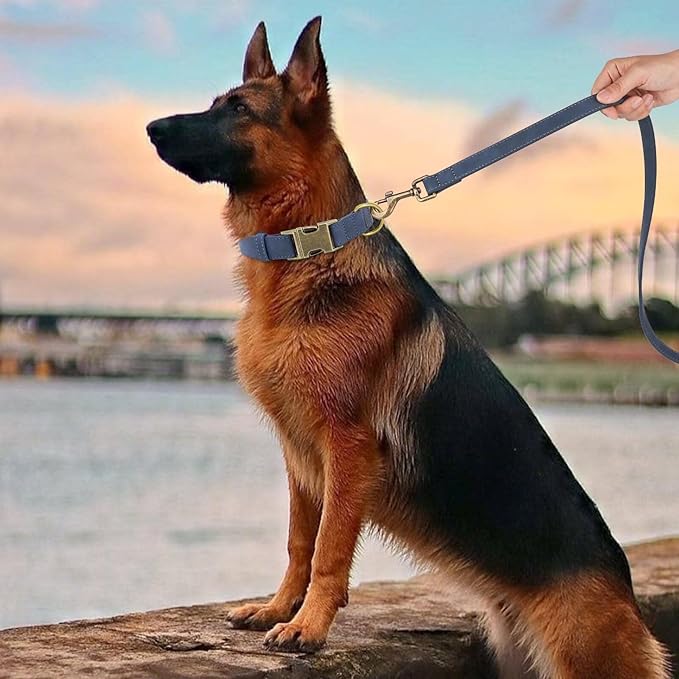 Didog Soft PU Leather Dog Collar, Stylish Quick Released Dog Collars for Large Dogs, Easy Clean Adjustable Pet Collar for Daily Walking, Blue, XL Fit 17-27" Neck-PawvioPets