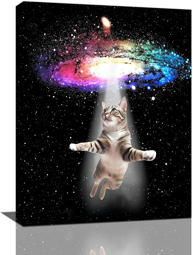 Funny Cat Wall Art Canvas Galaxy Wall Decor Prints Framed Painting Animal Pictures Gifts Artwork for Bathroom Living Dining Kitchen 12"x16"-PawvioPets