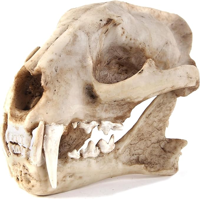 Aquarium Décor Cave Decorations Fish Hideout Betta Tarantula Reptile Snake for Terrarium Ornament Dinosaur Animal Skull Large Bones Halloween-PawvioPets