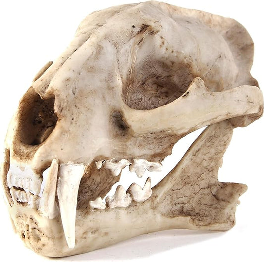 Aquarium Décor Cave Decorations Fish Hideout Betta Tarantula Reptile Snake for Terrarium Ornament Dinosaur Animal Skull Large Bones Halloween-PawvioPets