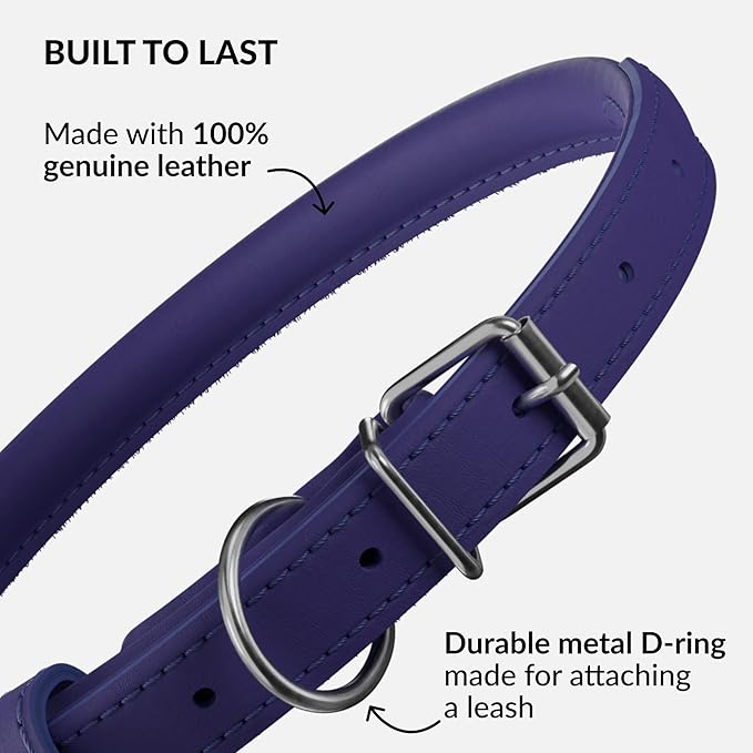 CollarDirect Rolled Leather Dog Collar, Soft Padded Round Puppy Collar, Handmade Genuine Leather Collar Dog Small Large Cat Collars 13 Colors (13-16 Inch, Purple Smooth)-PawvioPets