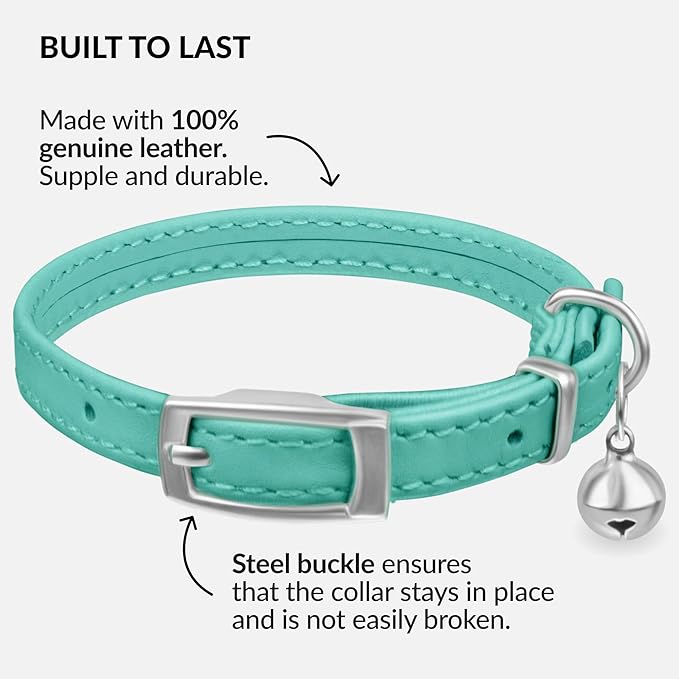 CollarDirect Leather Cat Collar with Bell - Kitten Collar, Small and Big Cat Collar for Boy Cats, Girl Cats with Safety Elastic Strap (Neck Fit 6"-7", Mint Green)-PawvioPets