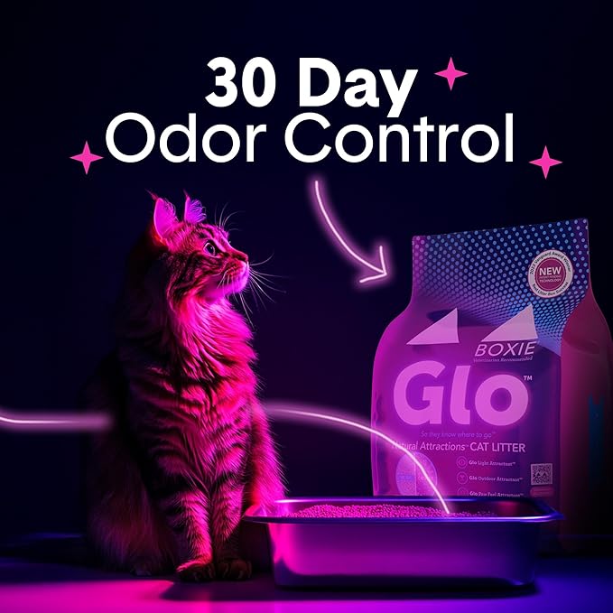 Boxie® Glo™ 30 Day Odor Control Clumping Clay Cat Litter, 40 lb, Multi-Cat, 99.9% Dust-Free, Low Tracking, UV Light Attractant, Superior Clumping for Easy Scooping-PawvioPets