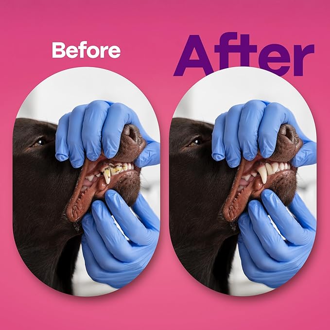 DOCO Dog Teeth Cleaning Wipes Dental Finger Wipes for Cats & Dogs Remove Plaque & Tartar, Freshen Breath, No Rinse, Easy & Effective Pet Tooth Cleaning Kit for Oral Care, Bacon Flavor, 50 Count-PawvioPets