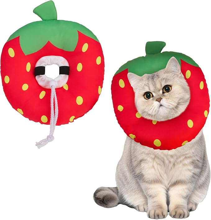 BINGPET Cat Cone Collar Soft,Waterproof Cat Recovery Collar to Stop Licking,Cute Donut Elizabethan e Collar for Cats Kittens Puppies Wound Healing After Surgery(Strawberry,Small)-PawvioPets