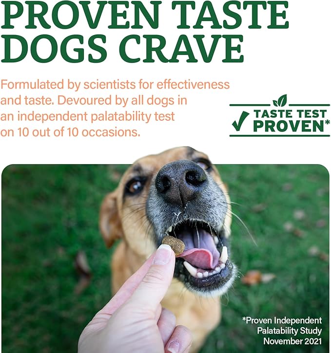 Doggie Dailies Senior Essentials Multivitamin for Dogs Soft Chews | Advanced Dog Multivitamin | Nutritional Support for Joints, Skin & Coat, Digestion, and the Immune System | Bacon Flavor | 120 Count-PawvioPets