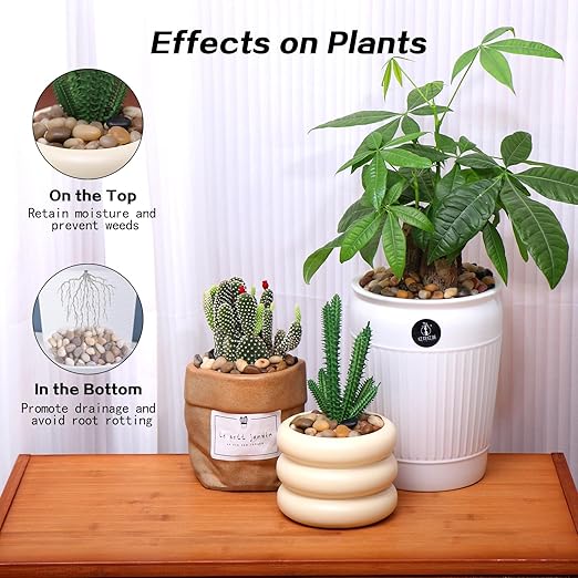 Calofulston 5lb Drainage Rocks for Potted Plants, 1/5 Inch Small Pebbles for Plants, Aquarium, Fish Tank, Terrarium, Succulent, Vases, Decorative Pea Gravel for Plants, Mixed Color-PawvioPets