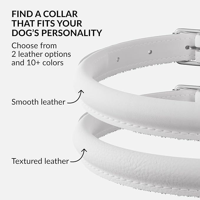 CollarDirect Rolled Leather Dog Collar, Soft Padded Round Puppy Collar, Handmade Genuine Leather Collar Dog Small Large Cat Collars 13 Colors (6 Inch, White Smooth)-PawvioPets
