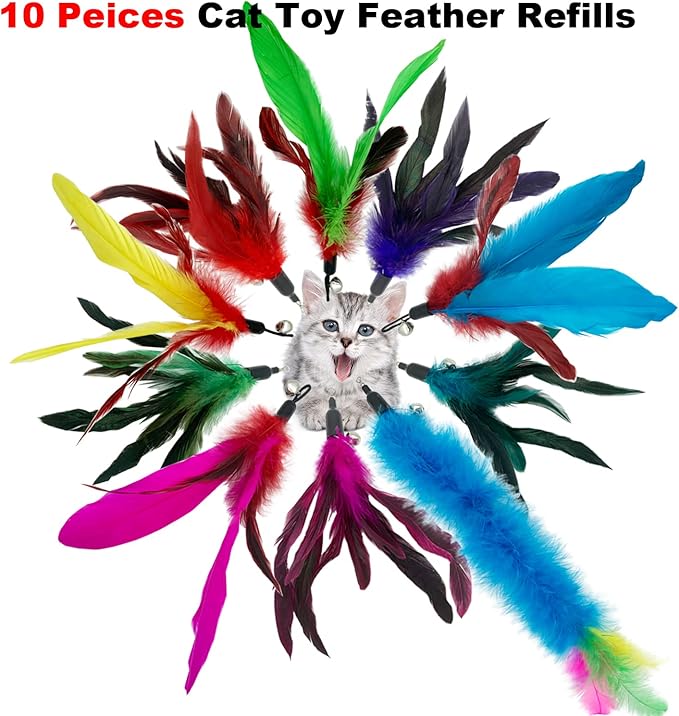 Cat Feather Toys Refills, 10 Pieces Interaction Cat Wand Replacement Feathers Toy for Indoor Cats-PawvioPets
