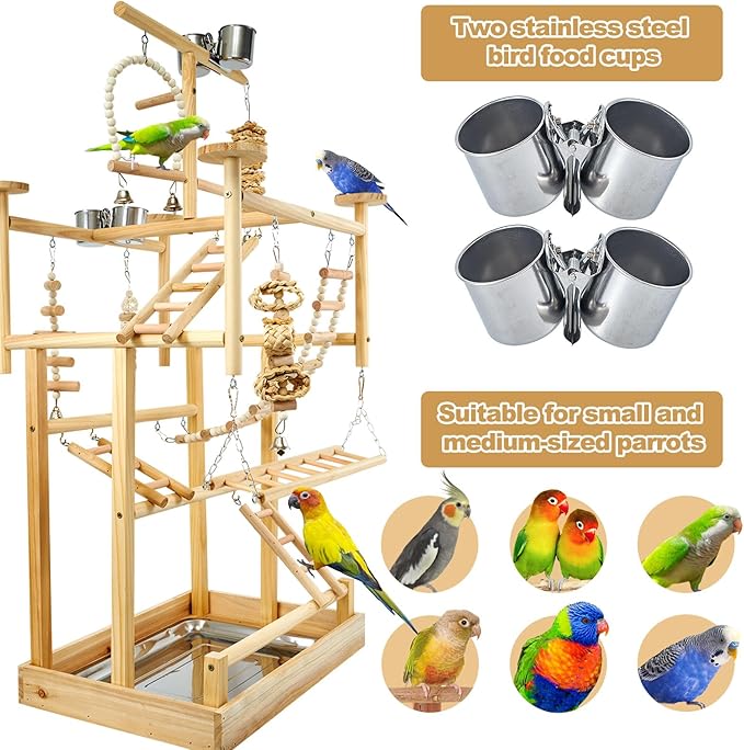 Bird Playground - Natural Wood Parrot Playstand with Perches, Bird Play Gym & Accessories, Removable Tray & 4 Stainless Steel Cups-PawvioPets