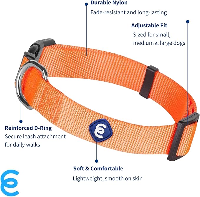 Blueberry Pet Essentials Florence Orange Adjustable Nylon Dog Collar for Large Dogs, Classic Solid Color Pet Safety & Style for Small Dogs-PawvioPets