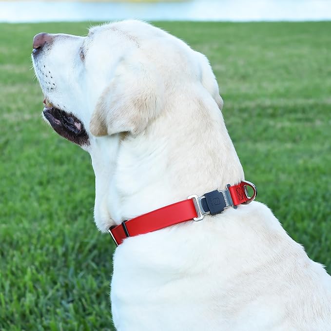 Dogline Biothane Waterproof Dog Collar with Herm Sprenger Stainless Steel Quick Release Buckle – Heavy Duty Tactical Durable Collar for Dogs – Comfortable and Safe Pet Collar, W 1" L 15-25", Red-PawvioPets