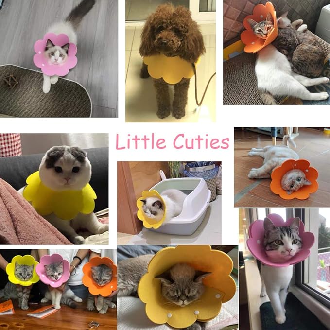 Adjustable Cat Recovery Collar - Cute Flower Neck Cat Cones After Surgery, Set of 2 Cat E Collar, Surgery Recovery Elizabethan Collars for Kitten and Cats S Size (2 pcs)-PawvioPets
