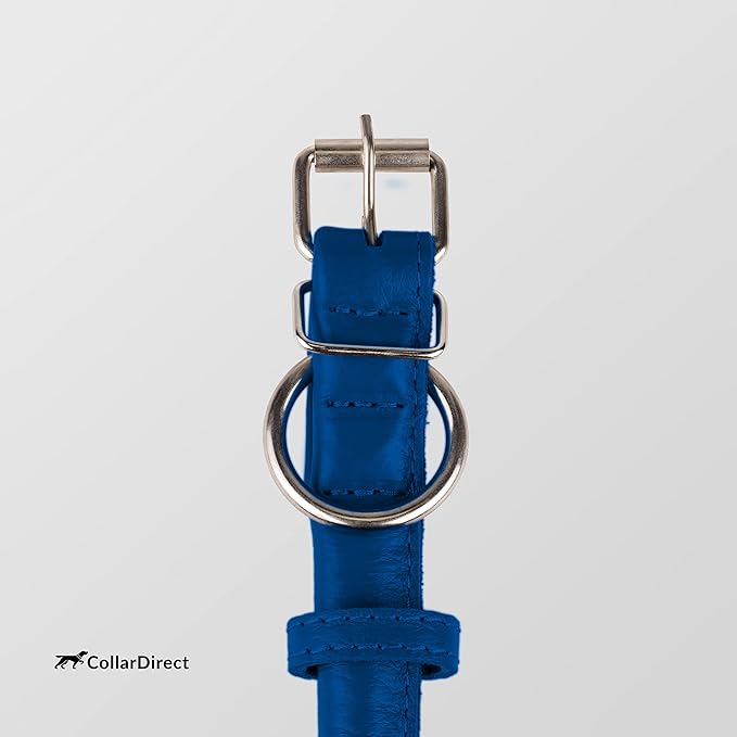 CollarDirect Rolled Leather Dog Collar, Soft Padded Round Puppy Collar, Handmade Genuine Leather Collar Dog Small Large Cat Collars 13 Colors (11-14 Inch, Deep Blue Textured)-PawvioPets