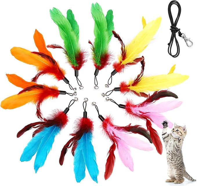 11PCS Cat Feather Toys Refills, 10PCS Feathers and 1PC String, Interactive Cat Wand Toy Replacement for Bored Indoor Adult Cats & Kittens-PawvioPets