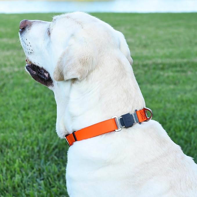 Dogline Biothane Waterproof Dog Collar with Herm Sprenger Stainless Steel Quick Release Buckle – Heavy Duty Tactical Durable Collar for Dogs – Comfortable and Safe Pet Collar, W 3/4" L 12-19", Orange-PawvioPets