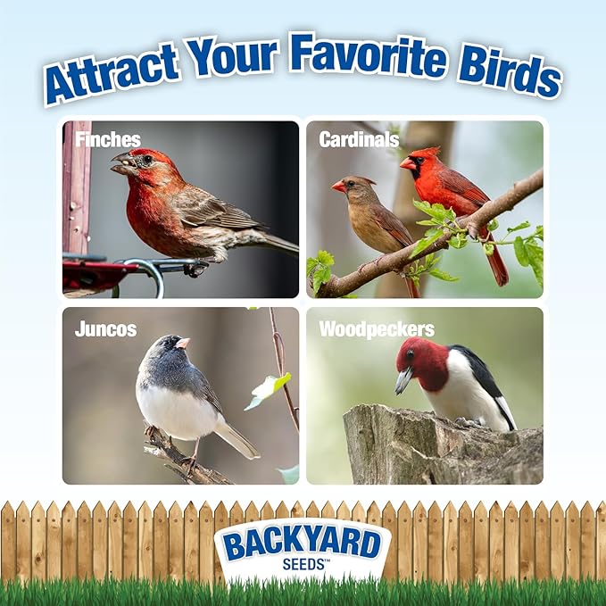 Backyard Seeds Songbird Blend Mixed Bird Seed - Attracts Bluebirds, Cardinals, Chickadees (7 Pounds)-PawvioPets