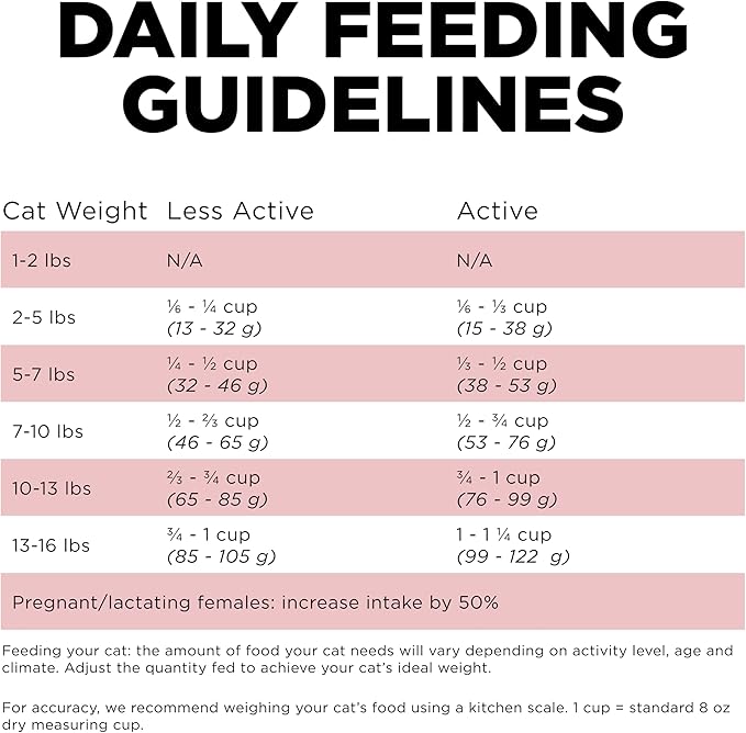 Go! Solutions Sensitivities Limited Ingredient, Grain-Free Dry Cat Food, Salmon Recipe for Sensitive Stomach, 6 lb Bag-PawvioPets