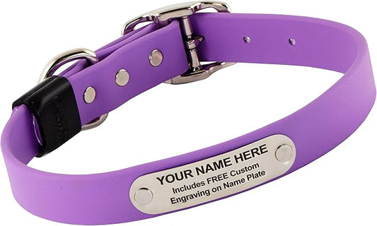 Biothane Custom Dog Collar – Waterproof, Stink-Proof Personalized Collar with Name & Phone Number – Durable, Many Sizes and Colors – Assembled in USA (Amethyst Purple)-PawvioPets