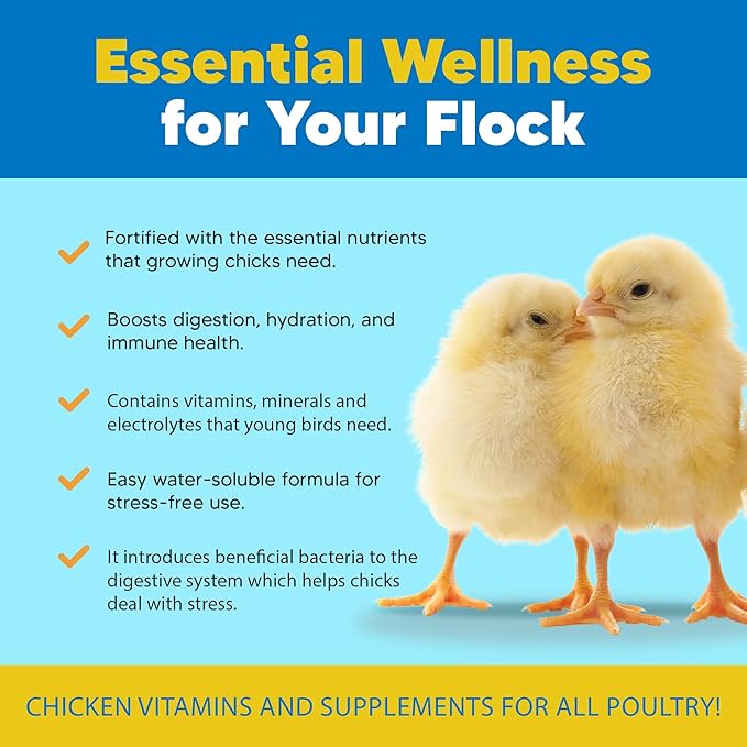 Equerry's Flock PRO Chick Boost Probiotic - Probiotics, Vitamins, Minerals and Electrolytes for Chickens | Chicken Vitamins and Supplements for All Poultry - 8oz-PawvioPets