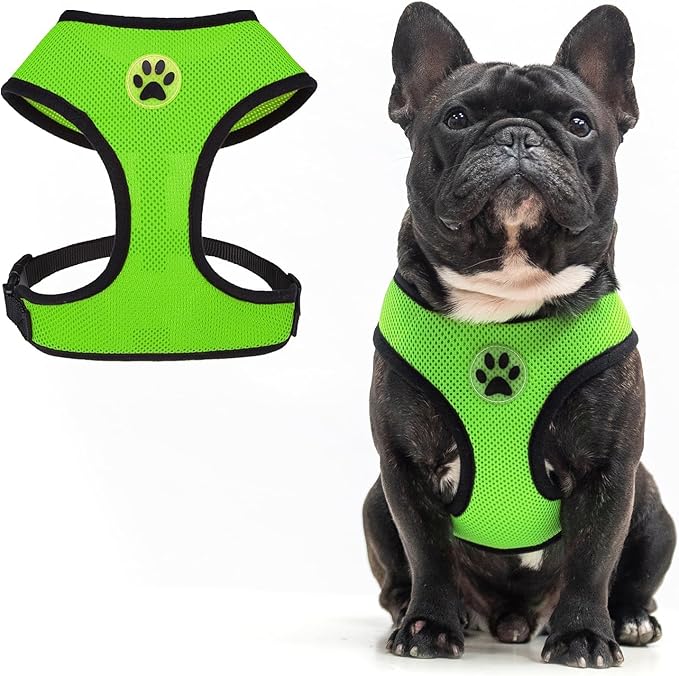 BINGPET No Pull Dog Harness,Soft Mesh Breathable All Weather Vest Harness,Safety Protection Design Durable Adjustable Step-in Easy Walk Dog Harness for Small Medium Large Dogs(Green,L)-PawvioPets