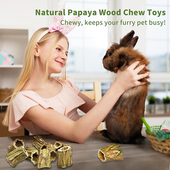 Fhiny Rabbit Chew Toys, 8 PCS 2" Natural Papaya Wood Chew Sticks Guinea Pig Treats for Dental Care Bunny Treats for Rabbits Small Pet Molar Snacks for Bunny Guinea Pig Chinchilla Hamster Gerbil-PawvioPets