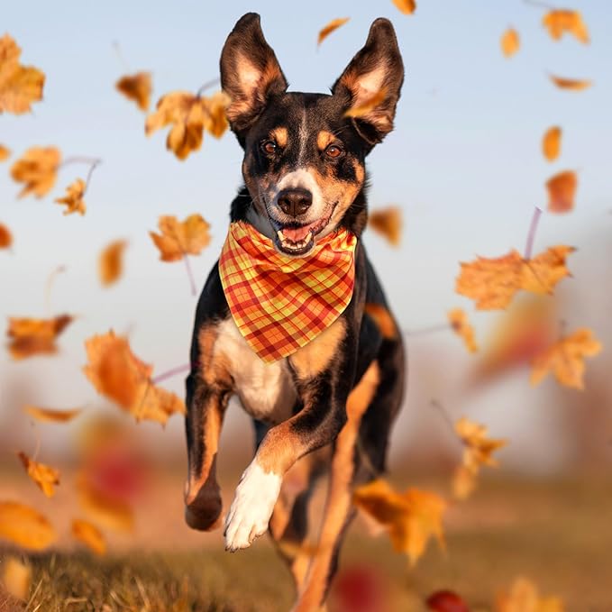 Abbylike 50 Pcs Fall Plaid Dog Bandanas Bulk Autumn Bandanas for Dogs Triangle Kerchief Bibs Scarf for Small Medium Large Pets Thanksgiving Costume Accessories, 25 Styles (31.5 x 21.7 x 21.7 Inch)-PawvioPets