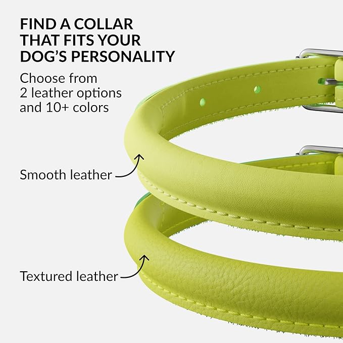 CollarDirect Rolled Leather Dog Collar, Soft Padded Round Puppy Collar, Handmade Genuine Leather Collar Dog Small Large Cat Collars 13 Colors (13-16 Inch, Lime Green Smooth)-PawvioPets