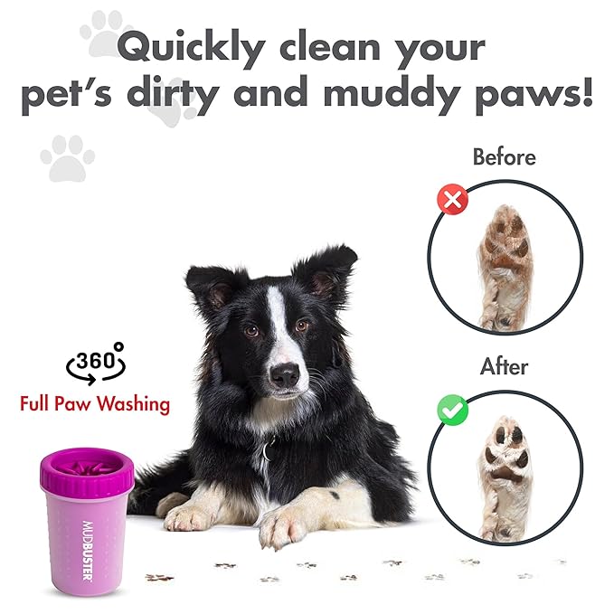 Dexas MudBuster Portable Dog Paw Washer/Paw Cleaner, Medium, Fuchsia-PawvioPets