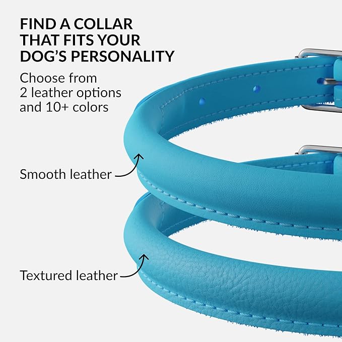 CollarDirect Rolled Leather Dog Collar, Soft Padded Round Puppy Collar, Handmade Genuine Leather Collar Dog Small Large Cat Collars 13 Colors (11-14 Inch, Light Blue)-PawvioPets