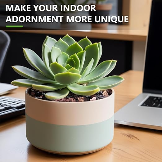 5lbs Small Rocks for Terrarium, Planters Drainage, 1/5 Inch Lava Rock for Bonsai Tree, Decorative Gravel for Succulents, Bamboo, Cactus, Mixed Color-PawvioPets