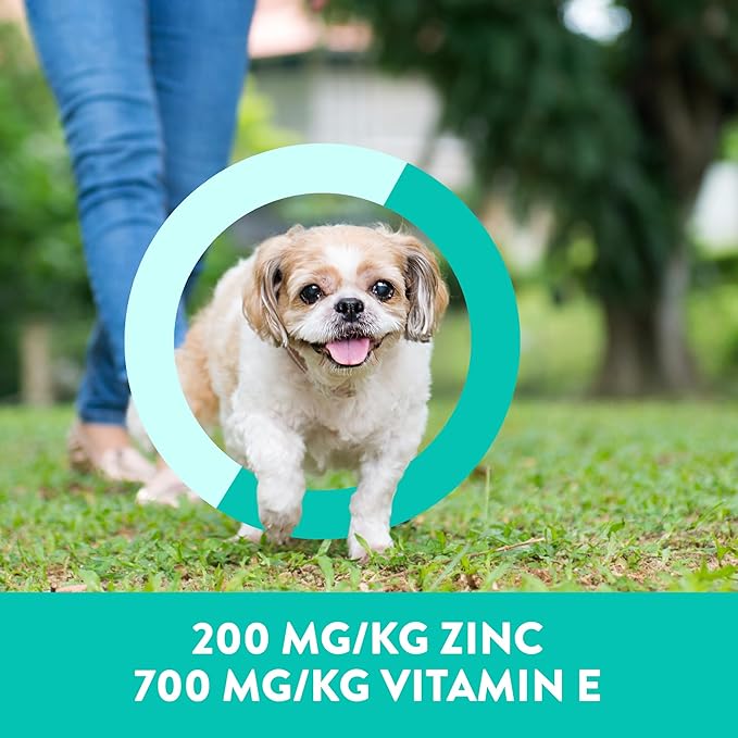 Dogswell Skin & Coat Mini Jerky Dog Treats, Salmon, 4 oz. Bag-PawvioPets