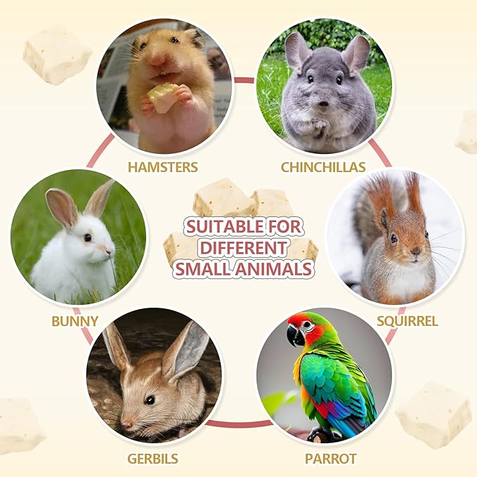 Abizoo Freeze Dried Tofu for Hamsters High Protein Low Fat & Balanced Minerals Grain Free Single Ingredient Natural Treats Enrichment Snacks for Rabbits, Guinea Pigs & Small Pets-PawvioPets