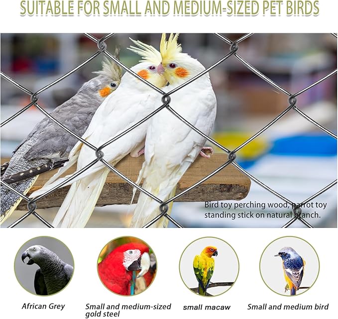 Bird Toys, Natural Parrot Toys for Small Macaws, Budgies, Lovebirds, Finches, Small and Medium Sized Birds Peppercorn Wood Apple Tree Perch Wood Set-PawvioPets