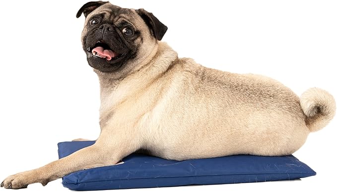 Dog Cooling Pad Dog Cooling Products Hydro Cooling Mat (18"x10.5") (Mini)-PawvioPets