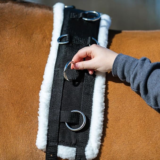 Dura-Tech Fleece Lined Training Surcingle for Horses | Essential for Lunging Work | Comfortable Fleece Lining | Durable Poly Material | Versatile D-Ring Placement | Suitable for All Training Levels-PawvioPets