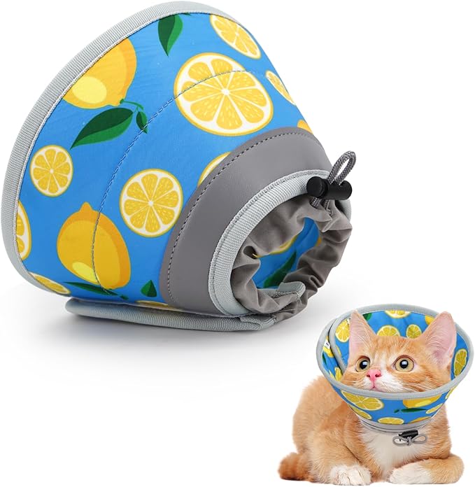 Cat Cone Collar Soft, Comfortable Cat Recovery Collar Pet Cone for Small Large Cats, Lightweight Elizabethan Collar for Cats Kittens After Surgery Prevent from Licking Wounds, Green, S-PawvioPets