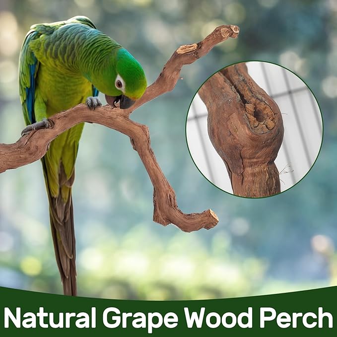 6-Piece Premium Bird Perch Stand with Natural Grape Wood Branch, Paw Grinding Fork, Chewing Stick, Cage Accessories for Parakeets, Budgies, Cockatiels, Finches, Lovebirds-PawvioPets