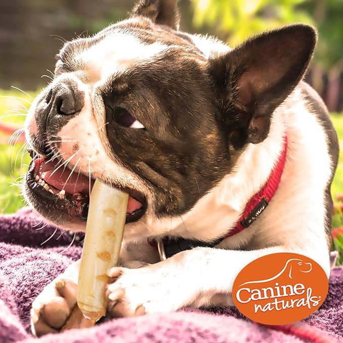 Canine Naturals Chicken Recipe Chew - Rawhide Free Dog Treats - Made from USA Raised Chicken - All-Natural and Easily Digestible - 5 Pack of 7 Inch Large Rolls for Dogs 50-75lb-PawvioPets
