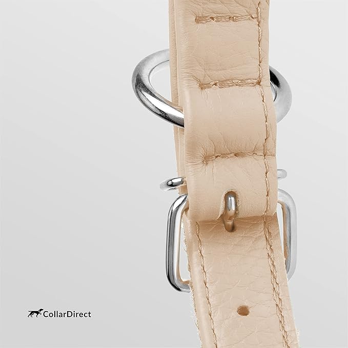 CollarDirect Rolled Leather Dog Collar, Soft Padded Round Puppy Collar, Handmade Genuine Leather Collar Dog Small Large Cat Collars 13 Colors (11-14 Inch, Beige Textured)-PawvioPets