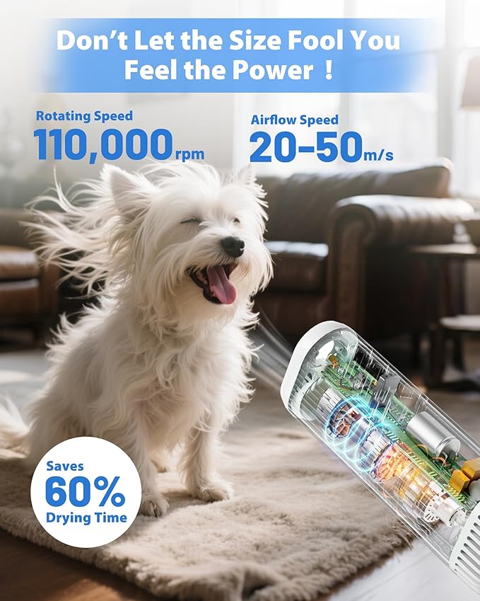 2-in-1 Hands-Free Dog Hair Dryer with Table Clamp – Low Noise Pet Grooming Dryer for Dogs & Cats, Adjustable Heat & Speed, Wearable or Desktop Use(Gray)-PawvioPets