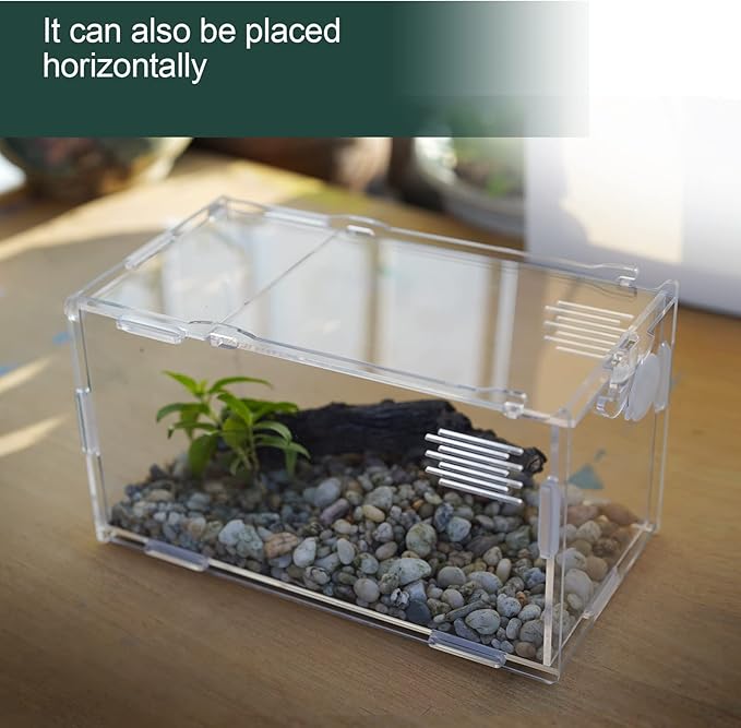 BETAZOOER Acrylic Mini Reptile Tank Habitat Transparent Terrariums with Locking Latch Suitable for Tarantula Isopod Roach Invertebrates (4''x4''x8'')-PawvioPets
